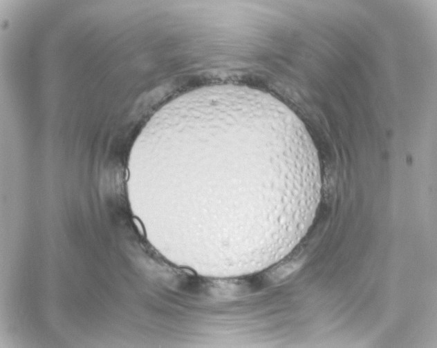X0000059050623200511041704