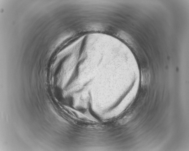 X0000059050627200511041703