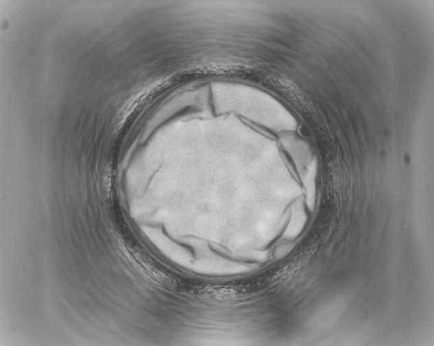 X0000059050640200511041703