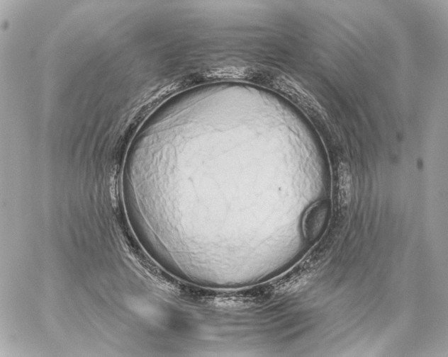 X0000059050641200511041703