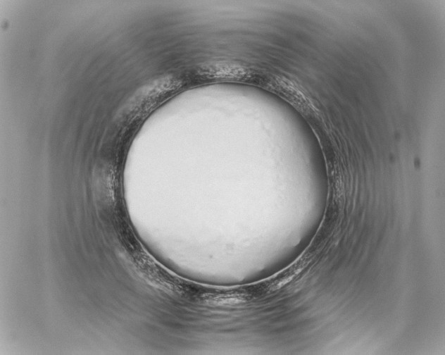 X0000059050643200511041703