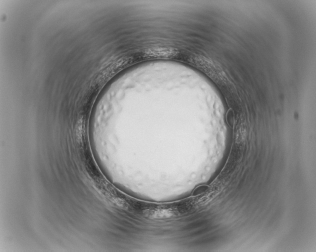 X0000059050647200511041703