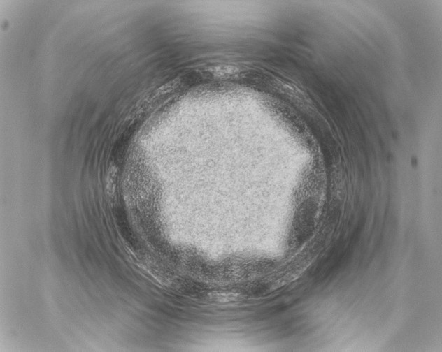 X0000059050650200511041703