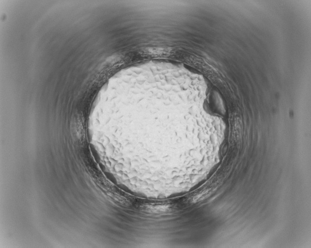 X0000059050651200511041703
