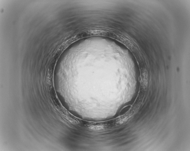 X0000059050653200511041704