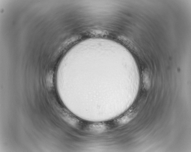 X0000059050668200511041704