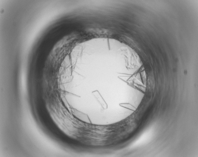 X0000059050671200511041704