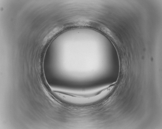 X0000059050677200511041703