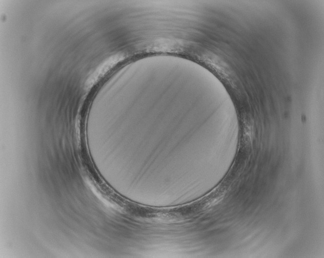 X0000059050678200511041703