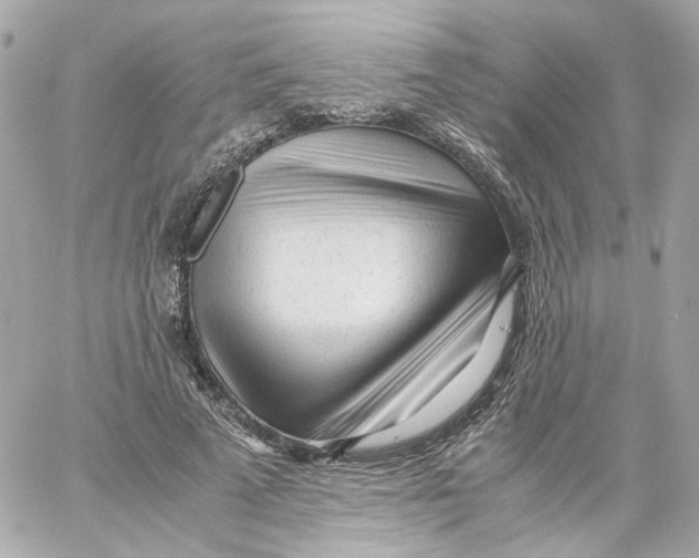 X0000059050689200511041703