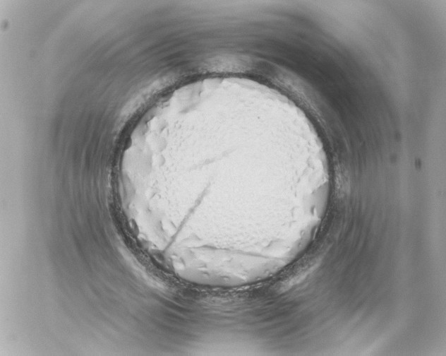 X0000059050725200511041702