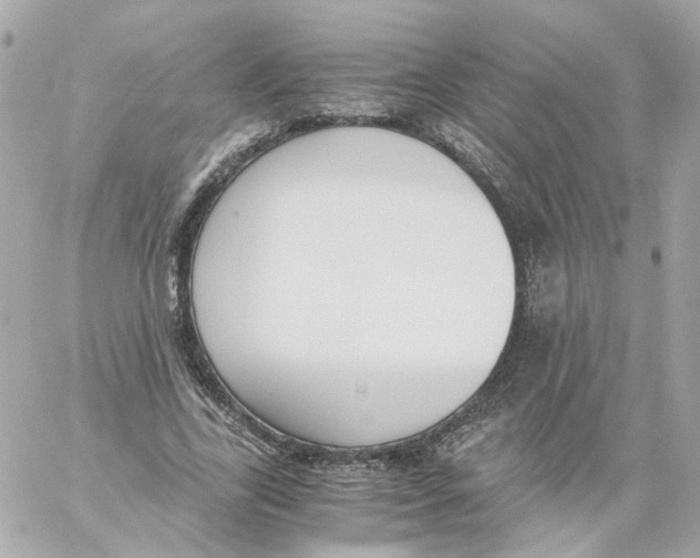 X0000059050731200511041702
