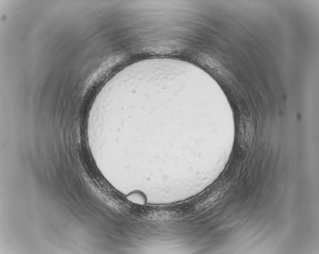 X0000059050734200511041702