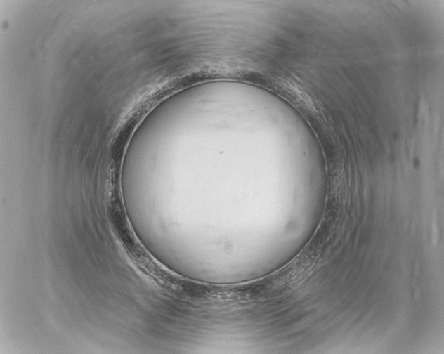 X0000059050736200511041702