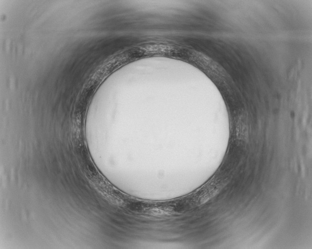 X0000059050737200511041702