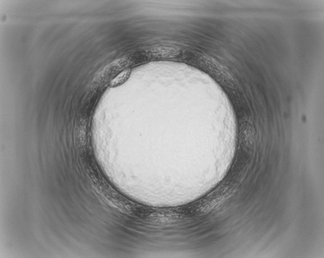X0000059050745200511041702