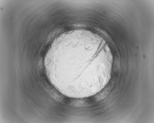 X0000059050765200511041702