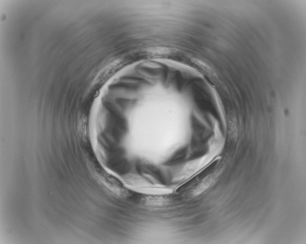 X0000059050766200511041702