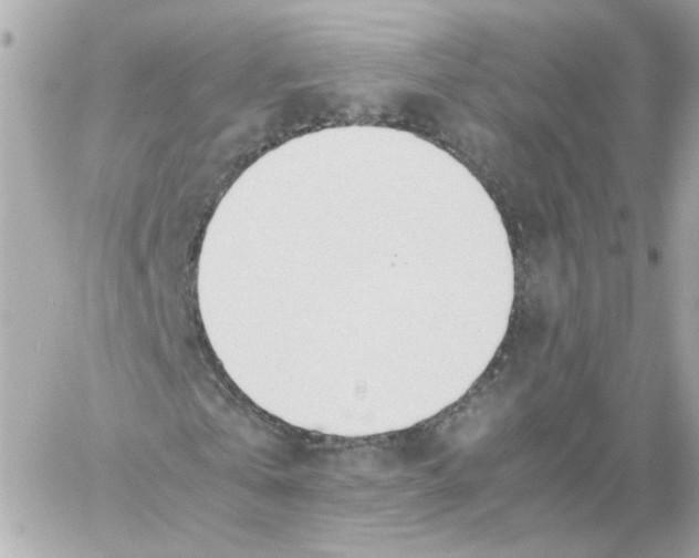 X0000059050769200511041701