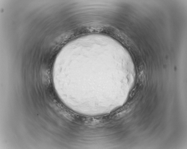 X0000059050772200511041701