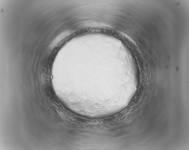 X0000059050775200511041701