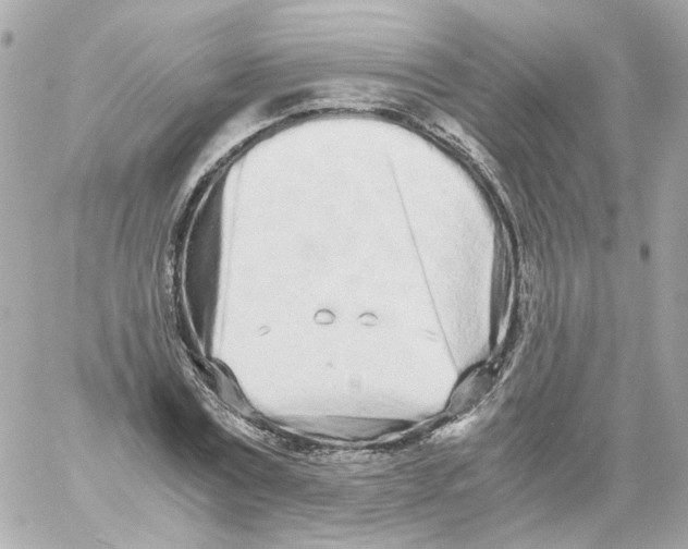 X0000059050779200511041701
