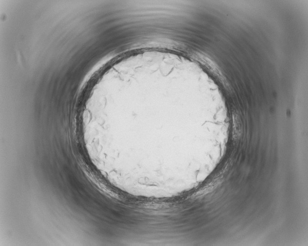 X0000059050780200511041701