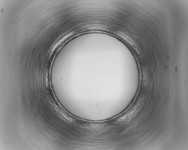 X0000059050782200511041701
