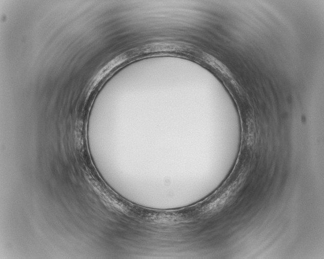 X0000059050786200511041701