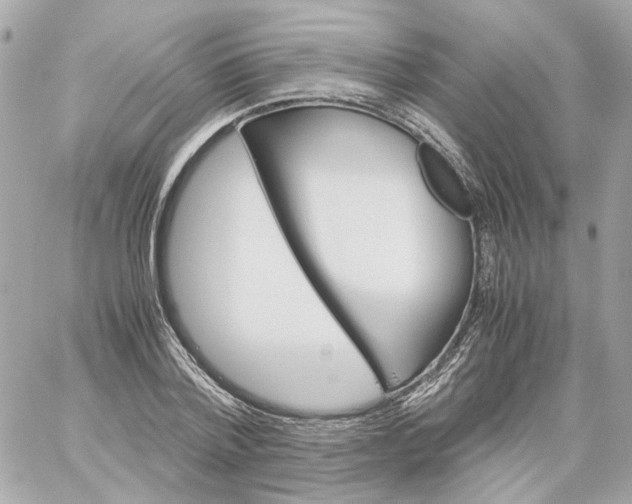 X0000059050788200511041701