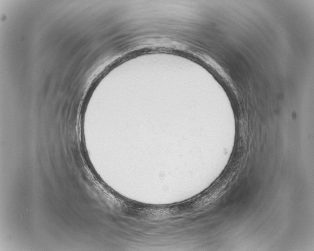 X0000059050791200511041701