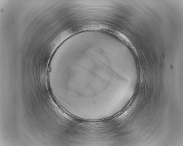 X0000059050802200511041701