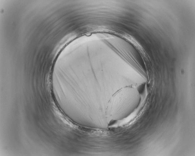 X0000059050806200511041701