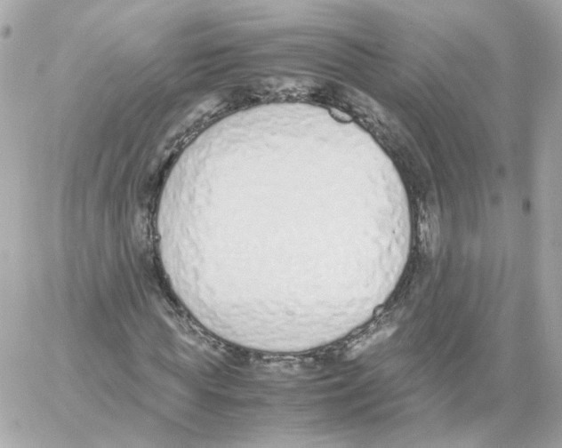 X0000059050819200511041700