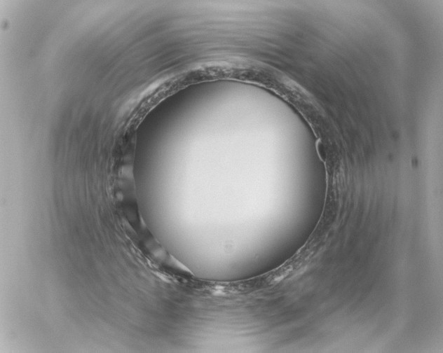 X0000059050822200511041700