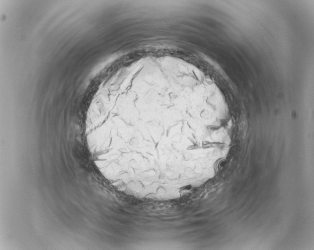 X0000059050823200511041700