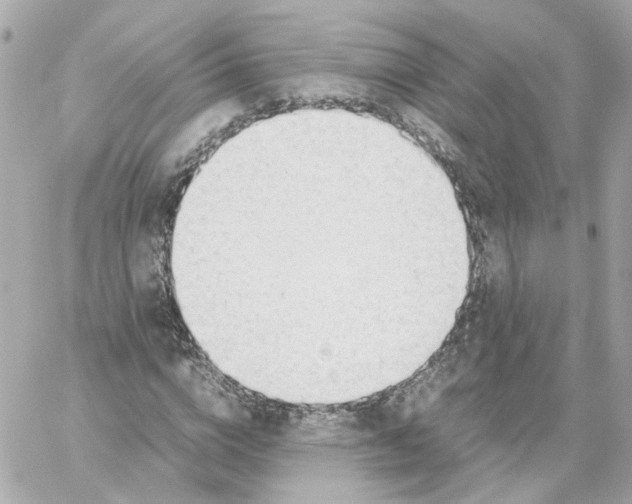 X0000059050824200511041700