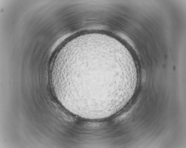 X0000059050829200511041700