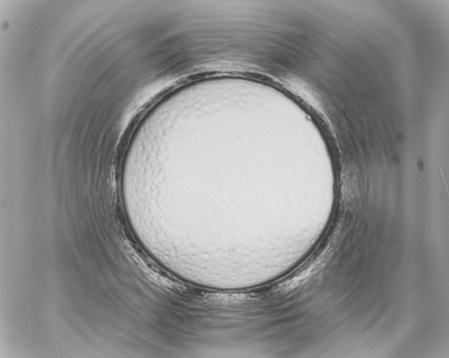 X0000059050831200511041700
