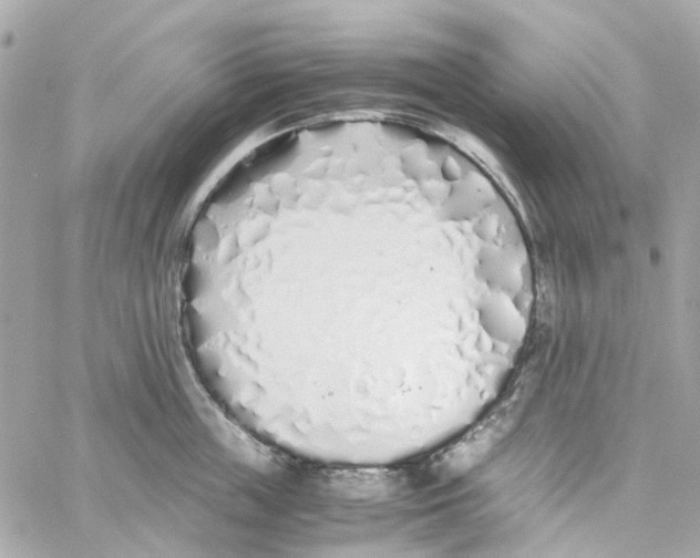 X0000059050859200511041701