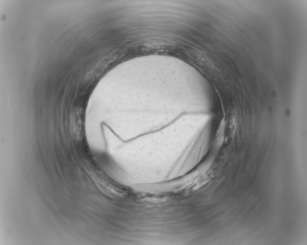 X0000059050868200511041700