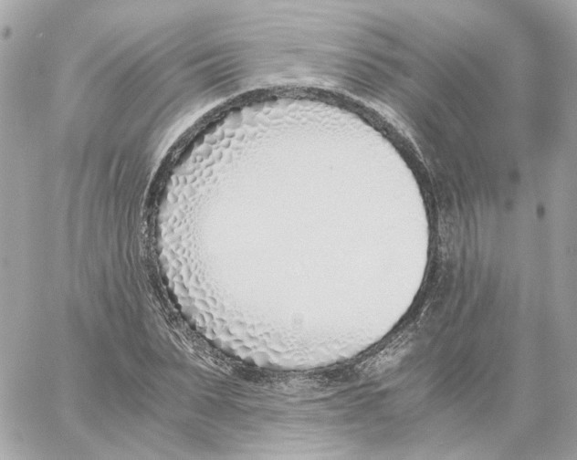 X0000059050879200511041700
