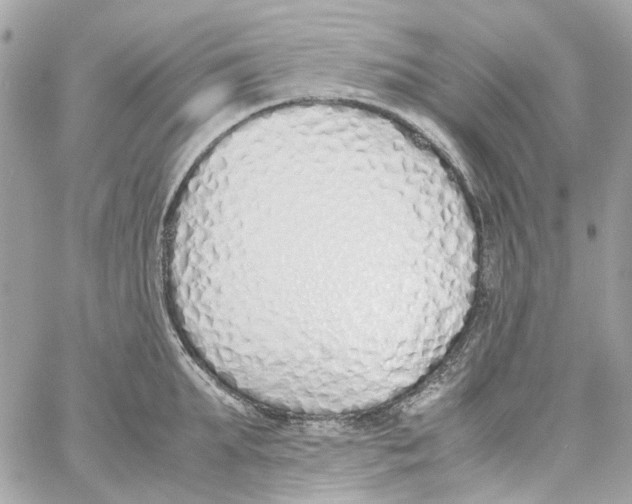 X0000059050903200511041659
