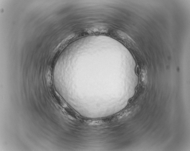 X0000059050915200511041658