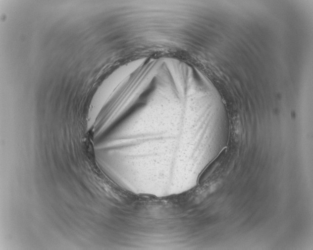 X0000059050916200511041658