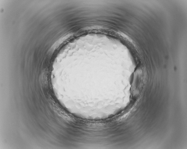 X0000059050921200511041658