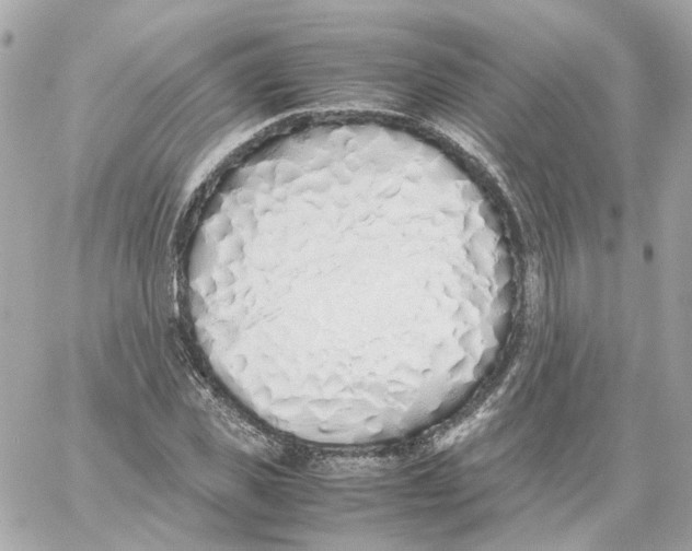 X0000059050925200511041658