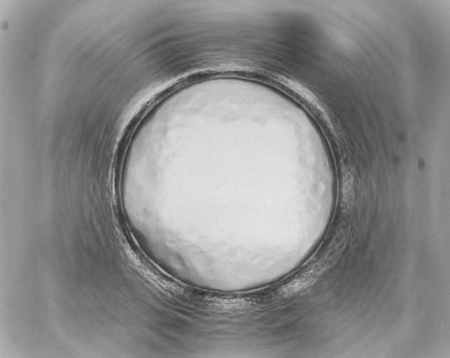 X0000059050935200511041659