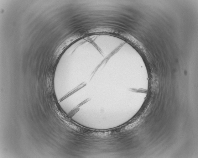 X0000059050937200511041659