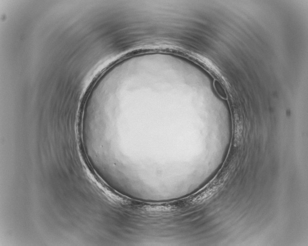 X0000059050943200511041659